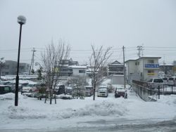 yuki_120229_1.jpg