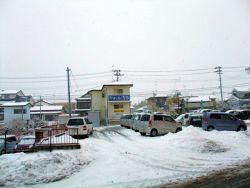 yuki_120229_2.jpg