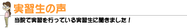 実習生の声